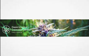 Notification of Voluntary Recall May 23, 2025  - Legion of Dank Delights edible